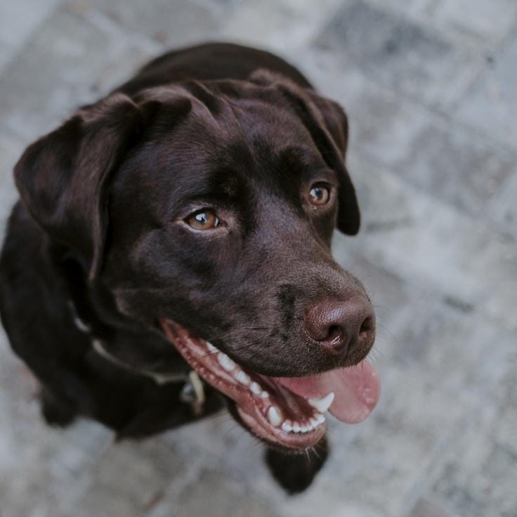 Business client testimonial